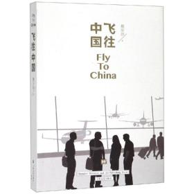 飞往中国詹东新上海文艺出版社