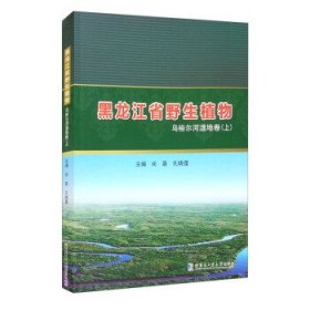 【正版书籍】黑龙江省野生植物:上:乌裕尔河湿地卷