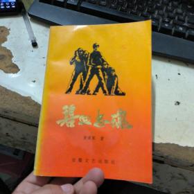 《碧血忠魂》（描写1927年，陈赞贤、钟友千领导赣州工人运动的战斗小说）