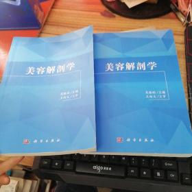 美容解剖学