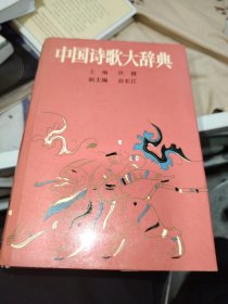 中国诗歌大辞典精装本