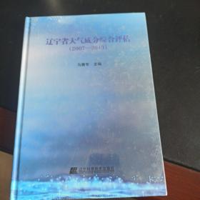 辽宁省大气成分综合评估（2007-2013）