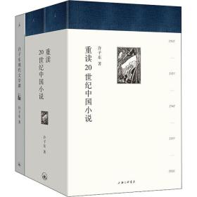 全新 许子东经典课堂(现代文学课+重读20世纪中国小说)(全3册)