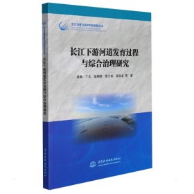 长江下游河道发育过程与综合治理研究（长江治理与保护科技创新丛书） 9787517099611