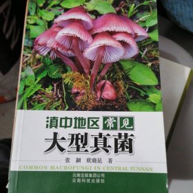 滇中地区常见大型真菌