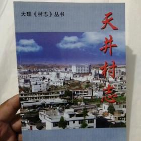 大理村志丛书：天井村志