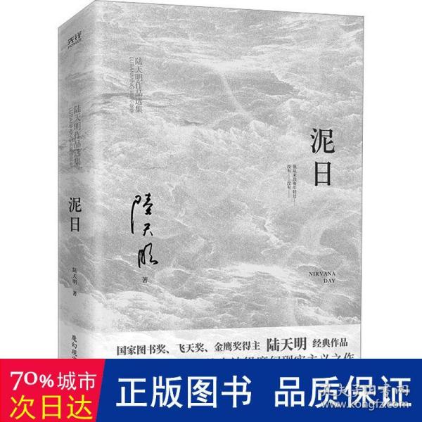 泥日（知名作家陆天明魔幻现实主义突破之作，西北荒原的壮丽家族史诗，他们从未年轻过，也只想活得好一点）