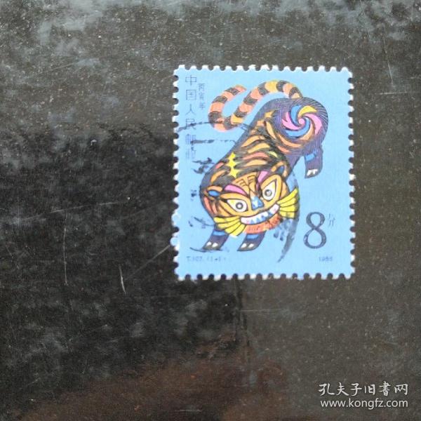 一轮虎