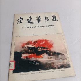 宋建华画集