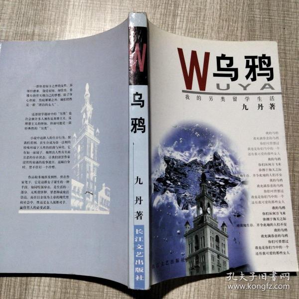 乌鸦: 我的另类留学 生活