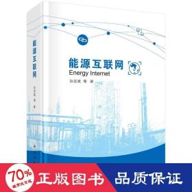 能源互联网 能源科学 孙宏斌 等 新华正版