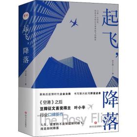 起飞,降落(全2册) 情感小说 叶小辛