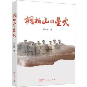 桐柏山的星火 历史、军事小说 刘杰超 新华正版
