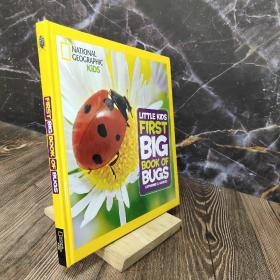 Little Kids First Big Book of Bugs