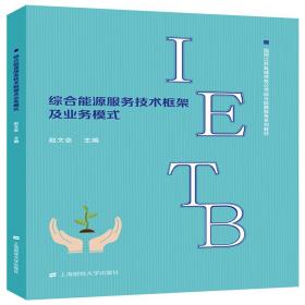 新华正版 综合能源服务技术框架及业务模式 赵文会 9787564232320 上海财经大学出版社