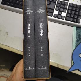世界文学史 第八卷、上下册