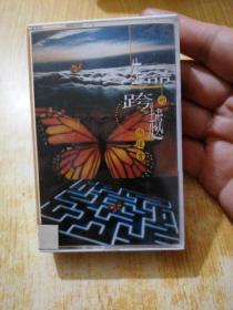 生命的跨越一诗歌集:磁带