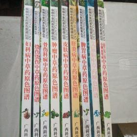 10九品专病专治丛书―病毒性肝炎的中西医治疗/成冬生岭南皇家书院(5)