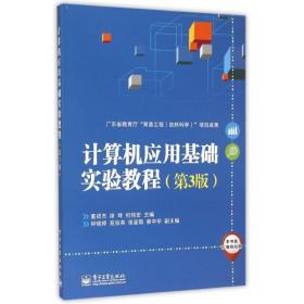 计算机应用基础实验教程/本科教材 大中专公共计算机 董成杰