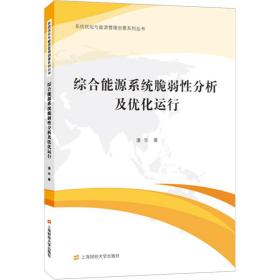 新华正版 综合能源系统脆弱性分析及优化运行 潘华 9787564238483 上海财经大学出版社