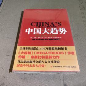 中国大趋势：新社会的八大支柱