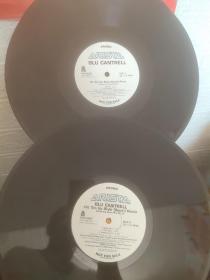 PROMO ARLSTA BLU CANTRELL 黑胶唱片两张合售（没有原封套）