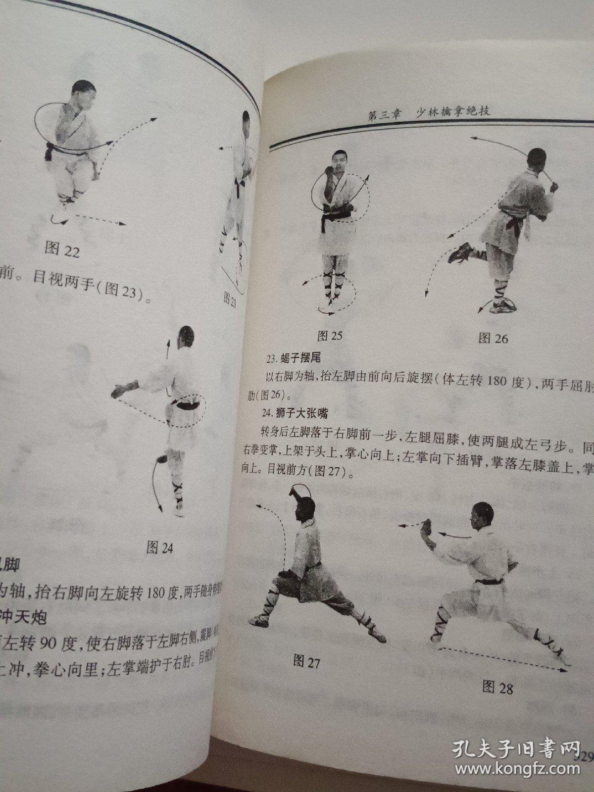 武馆之光:登封武术文化的传承与创新