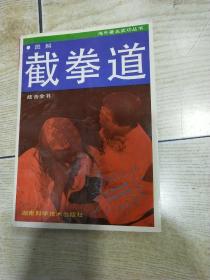 图解截拳道技击全书