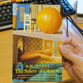 The Safety of Objects Stories,A.M. Homes英文原版