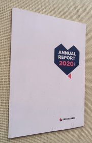 ANNUAL REPORT 2020年报