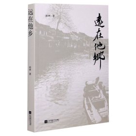 【全新正版，假一罚四】远在他乡