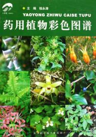 全新正版 药用植物彩色图谱(精) 钱永涛 9787534136337 浙江科技