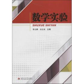 数学实验 大中专理科科技综合 黎克麟，柏宏斌主编 新华正版