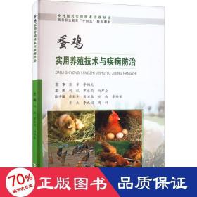 蛋鸡实用养殖技术与疾病防治 养殖  新华正版
