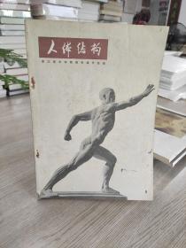 人体结构