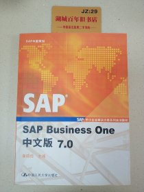 SAP Business One中文版7.0(附光盘)