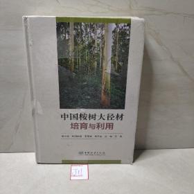中国桉树大径材培育与利用(精)