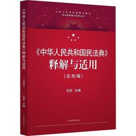 新华正版 《中华人民共和国民法典》释解与适用(总则编) 石宏 9787510928765 人民法院出版社