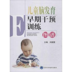 全新正版 儿童脑发育早期干预训练图谱 刘振寰 9787565913990 北京大学医学出版社