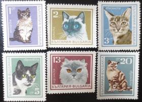 保加利亚邮票 1967年 庞物猫 欧洲猫.波斯猫邮票等 6全