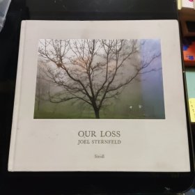 JOEL STERNFELD: OUR LOSS 乔·斯坦菲尔德：我们的损失 摄影集
