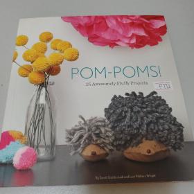 Pom-Poms ! 25Awesomely Fluffy Projects
