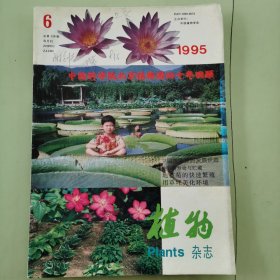 植物杂志1995年第6期
