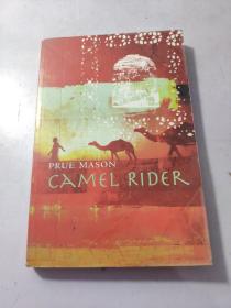 Camel Rider 骆驼骑兵   实物图