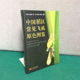 中国稻区常见飞虱原色图鉴 精装16开