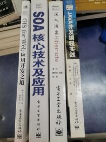 博文视点计算机系列丛书：《JAVA并发编程实践》+《SOA核心技术及应用》+《深入浅出Hibernate》+《G is for Web应用开发之道》（四本合售）二手正版打包价格68元包邮！
单卖需联系客服询价！！！