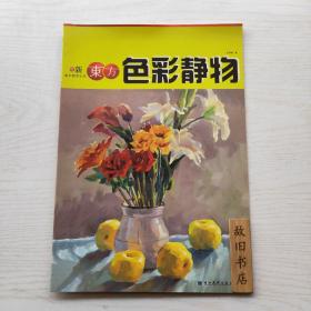 新东方美术教学示范：色彩头像（样书）