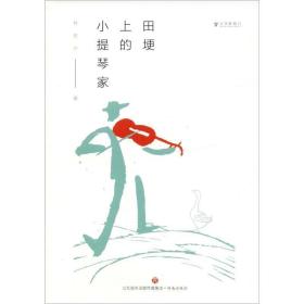 田埂上的小提琴家 中国现当代文学 林苑中