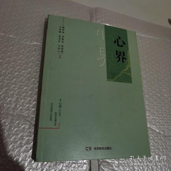 心界陶妙如 著 湖南教育出版社 2018 10 平装豫上阿博浙江省杭州市静享一