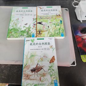 最美的自然图鉴《昆虫、鸟类、野草》3本合售